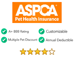 Let's take a look at what you can expect to pay for a few different coverage choices from aspca. Top 5 Pet Insurance Providers Money Muser Cheap Pet Insurance Pet Health Insurance Pet Insurance