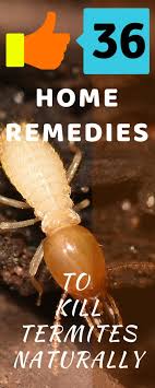 36 Termite Control Remedies How To Get Rid Of Termites Naturally Termite Control Termites Termite Treatment Cost