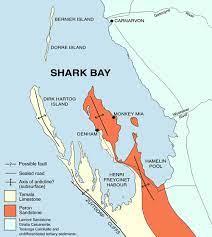 Geology Shark Bay
