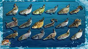 Descargar 2.34 ultimate fishing simulator (com.ultimategames.fishing) es la simulación para dispositivos android que desarrolló playway sa . Ultimate Fishing Simulator Pro For Android Apk Download