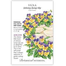 I highly recommend this floral shop to anyone looking to send flowers to their loved ones! Bi Seed Viola Johnny Jump Up Boulevard Flower Gardens