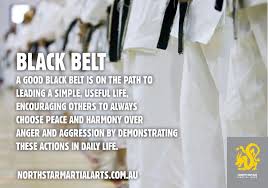 A Good Black Belt Leads A Simple Useful Life Be A Blackbelt In Life Not Just In The Dojo Martial Arts Black Belt Peace And Harmony