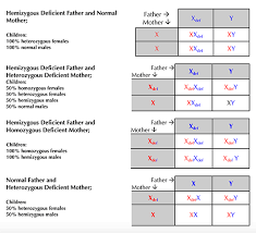 did i inherit g6pd deficiency g6pd deficiency foundation