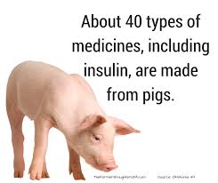 Pork Medicines The Farmer S Daughter Usa National Pig Day Animal Agriculture Medicine