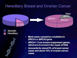 Researchers have associated mutations in specific genes with more than 50 hereditary cancer syndromes, which are disorders that may predispose individuals to developing certain cancers. Introduction To Cancer Genetics Ppt Video Online Download