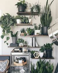 10 Excellent Ideas To Display Living Room Indoor Plants Plant Wall Decor Living Room Plants Room With Plants