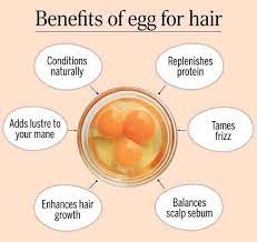 6 Beauty Benefits Of Eggs For Hair Care Egg For Hair Egg Benefits Hair Care