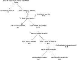 Flowchart Of Studydesign And Success Of Antiarrhythmic Drugs