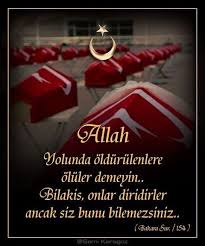 Saliha Orhan Adli Kullanicinin 15 Temmuz Panosundaki Pin Dualar Turkiye Sevimli Sozler