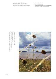 in the wind ジャパン 女性ファッション誌
