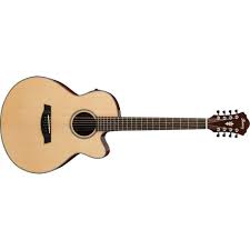 Guitar Shop Sale On Now Ibanez Ael108md Nt 8 String Acoustic Because it just keeps repeating right?