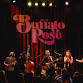 Buffalo Rose