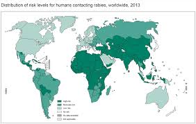 Health officials uniformly recommend you get the rabies vaccine if you have been bitten. Rabies Vaccine For Humans Passport Health