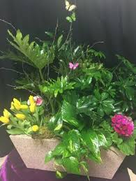 Maybe you would like to learn more about one of these? Bojon S Flowers And Gifts Bojonsflowersandgifts Profile Pinterest