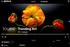 Discover the xfinity channel lineup currently available in your area. Loupe And Pluto Tv Launch Non Traditional Channel That Pairs Art Music
