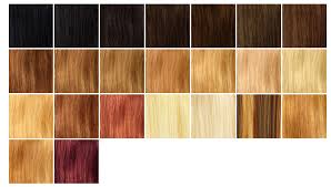 Hair Extensions Match Your Colour Chart Sophie Hairstyles