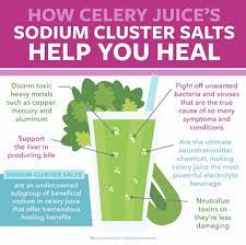 Celery is rich in sodium, which is very different to table salt. How Celery Juices Sodium Cluster Salts Help You Heal