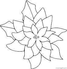Poinsettia are property and copyright of their owners. Poinsettia Coloring Pages Coloringall