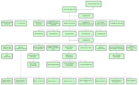Organization Chart For Contracting Company Kozen