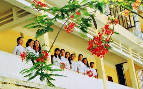 Kết quả hình ảnh cho mùa hè sân trường