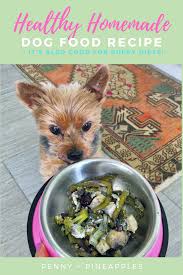 Pin On Puppy Recipes
