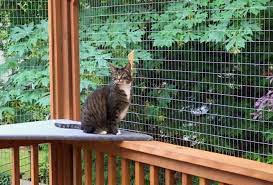 Cat dog rabbit guinea duck chicken wooden house (for enclosure,playpen, run,pen). Diy Catio Materials How To Pick The Right Cat Enclosure Mesh For Your Catio Catio Spaces
