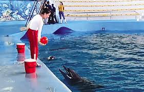 news - Báo Bắc Ninh