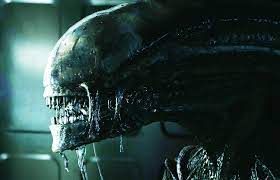These days, perkowitz said, humanity isn't afraid of carnivorous in the 2017 movie life, for example, jake gyllenhaal's character and his crewmates aboard the. How Alien Spawned So Many Others The New York Times
