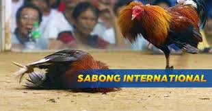 Online Sabong International PH