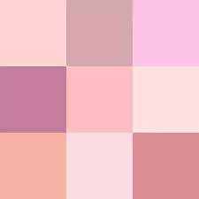 What colors go good with blush pink. Which Color Can Go Well With Blush Pink To Make The Outfit Look Grand Quora