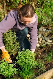 Browse pictures at hgtv of front and backyard landscaping ideas along with hardscape design including water features, pergolas, fire pits and more. Herb Garden Design How To Make An Herb Garden