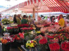 Before coming aboard for a fishing adventure on the texas coastal bend, every angler will need a valid tx saltwater fishing license. 21 Market Stalls Ideas Market Stalls Flower Market Flower Shop