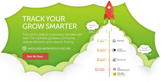 Cannabis Grow Journals Track Your Grow Growdiaries