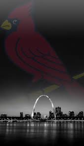 We did not find results for: St Louis Cardinals Wallpaper For Android Posted By John Sellers