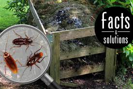 Check our fact sheet that provides you with all the information needed to show resilient pets door out forever. 15 Great Roach Traps For Beating Cockroaches Every Time Cockroach Facts