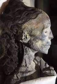 وأضاف :الملكة تي كان لديها خلطة خاصة بشعرها، من أهم مكوناتها دهن البقر، بالإضافة إلى زيت الخروع والصنوبر. X3bz45ooipanam