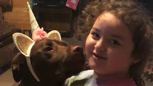 Fundraiser by Dylan Mcmillan : Help Save Spud!