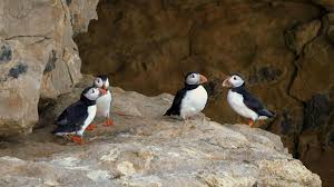 Big Picture: This week's images from the south of England - BBC News