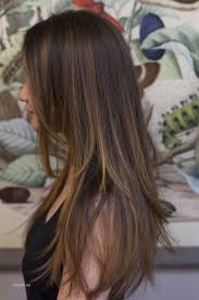 Inspirational Highlights For Straight Long Black Hair Balayage Asian Hair Hair Color Flamboyage Asian Hair