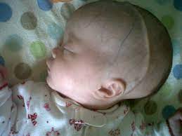 Marlena Musgrave Every Life Counts