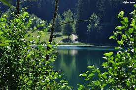 Artvin Savsat Karagol Fotografi Gonderen Oguz Ozcan Fotograf Doga Doga Fotograflari