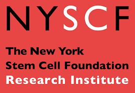 The New York Stem Cell Foundation matching gifts and volunteer grants page