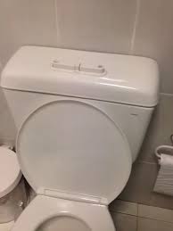 A common problem in every aging home is the toilets will eventually leak. Caroma Toilet Installation Problem Chromesoftis