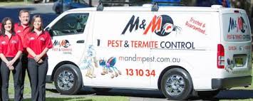 Termites are the most destructive pests you'll never see. Pest Control Belrose For All Pests Termites Call M M 30yrs Experience
