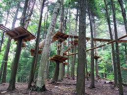 Image Result For Ninja Warrior Obstacle Ideas Woods Outdoor Design Yard Design House Yard