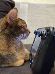 After purchasing the steam deck, my cat really liked being near it. :  rSteamDeck