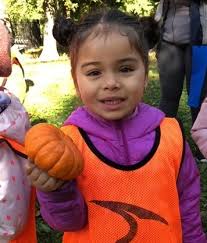 Halloween Happenings and Fall Fun