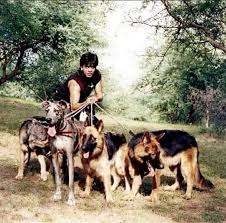 one of my favorite movies 😊 #Koyla... - Shah Rukh Khan ♥ Fans | Facebook