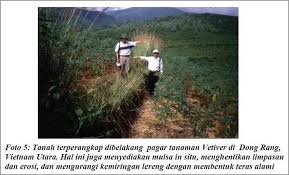 Dasar penswastaan diperkenalkan oleh tun dr. 5 Pengendalian Erosi Vetiver Indonesia