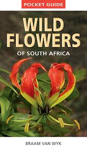 Long tongued flies and their tubular flowers. Pocket Guide Wild Flowers Of South Africa By Braam Van Wyk Vorgestellt Im Namibiana Buchdepot